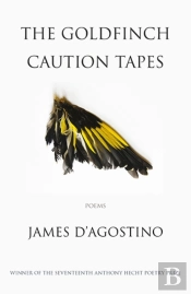 The Goldfinch Caution Tapes