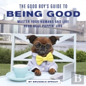 The Good Boy'S Guide To Being Good