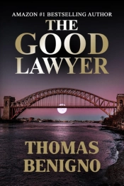 The Good Lawyer