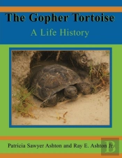 The Gopher Tortoise