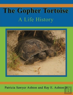 Bertrand.pt - The Gopher Tortoise