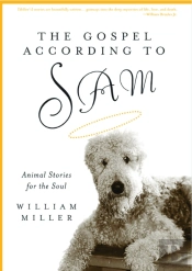The Gospel According To Sam