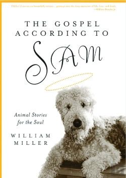 Bertrand.pt - The Gospel According To Sam