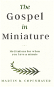 The Gospel In Miniature