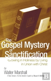 The Gospel Mystery Of Sanctification