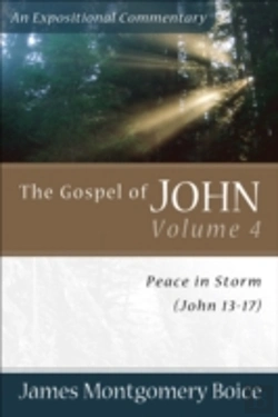 Bertrand.pt - The Gospel Of John Â€“ Peace In Storm (John 13â€“17)
