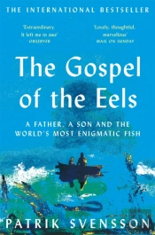 The Gospel Of The Eels