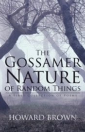The Gossamer Nature Of Random Things