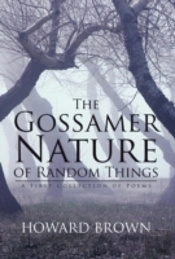 The Gossamer Nature Of Random Things