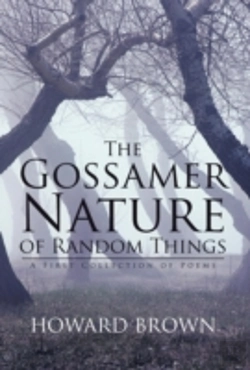 Bertrand.pt - The Gossamer Nature Of Random Things