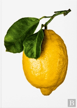 Bertrand.pt - The Gourmand's Lemon
