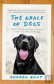 The Grace Of Dogs