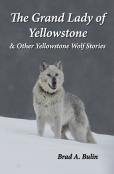 The Grand Lady Of Yellowstone