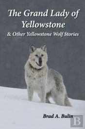 The Grand Lady Of Yellowstone