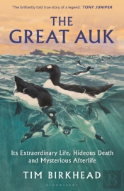 The Great Auk