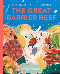 Bertrand.pt - The Great Barrier Reef