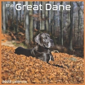 The Great Dane 2022 Calendar