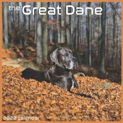 Bertrand.pt - The Great Dane 2022 Calendar