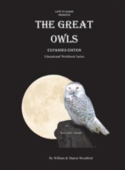 Bertrand.pt - The Great Owls: Educational Workbook Series
