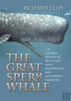 Bertrand.pt - The Great Sperm Whale