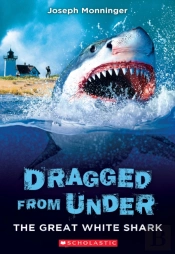 The Great White Shark (Dragged From Under #2)