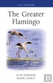 The Greater Flamingo