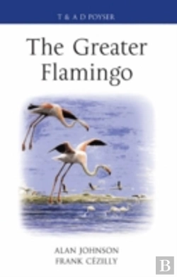 Bertrand.pt - The Greater Flamingo