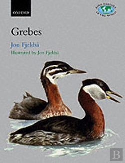 Bertrand.pt - The Grebes