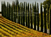The Green Heart Of Italy