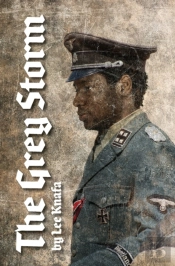 The Grey Storm