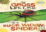 The Gross Life Cycle Of A Black Widow Spider