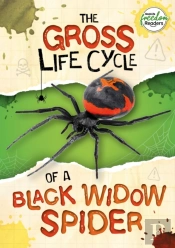 The Gross Life Cycle Of A Black Widow Spider