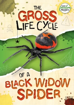 Bertrand.pt - The Gross Life Cycle Of A Black Widow Spider
