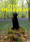 The Guardian