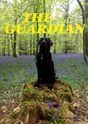 The Guardian