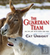 The Guardian Team