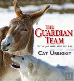 Bertrand.pt - The Guardian Team