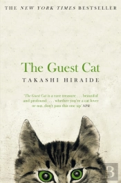 The Guest Cat