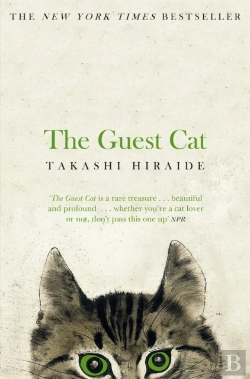 Bertrand.pt - The Guest Cat