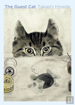 Bertrand.pt - The Guest Cat
