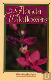 The Guide To Florida Wildflowers