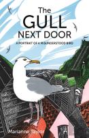 The Gull Next Door