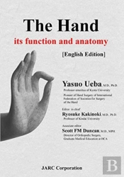 The Hand - Its Function And Anatomy