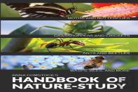 The Handbook Of Nature Study In Color - Insects