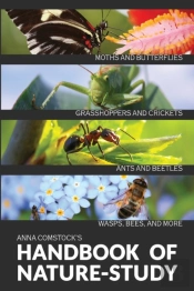 The Handbook Of Nature Study In Color - Insects