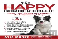 The Happy Border Collie