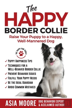 Bertrand.pt - The Happy Border Collie