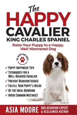 Bertrand.pt - The Happy Cavalier King Charles Spaniel