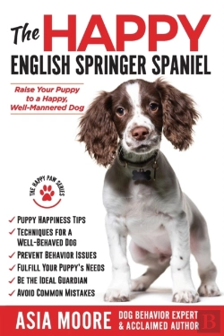 Bertrand.pt - The Happy English Springer Spaniel