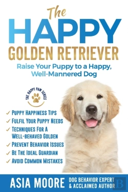 Bertrand.pt - The Happy Golden Retriever